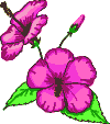 Clipart Blume