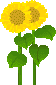 Clipart Blume
