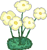 Clipart Blume