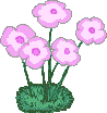 Clipart Blume