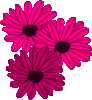 Clipart Blume
