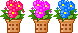 GIF-Bild Blume im Pixel-Style