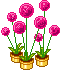 GIF-Bild Blume im Pixel-Style