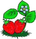 GIF-Bild Erdbeeren im Pixel-Style