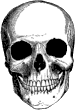 Clipart Totenkopf